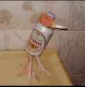 chicken.jpg