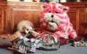 bagpuss2_2818683b.jpg