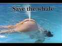 savethewhale.jpg