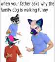 FURRYSHRUG.jpg