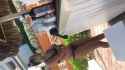 A663F58E-F2FC-4911-83BF-272699B432D6.jpg