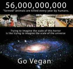 - 1525434031530.jpg