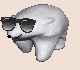 coolbear.gif