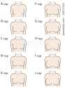 tit sizes.jpg