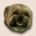 muhdawg.png