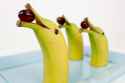 banana-dolphin-s.jpg