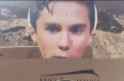 hogg-target.png