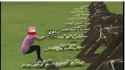 4d0bb78b96f1a87b3120759f9903d02f0a499068bde0f9d9983ad3a3fcd41838.gif