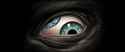 Eye.jpg