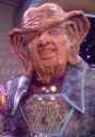nagus.jpg