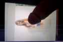 Photo on 5-19-18 at 6.42 AM.jpg