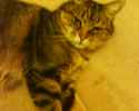 DSC00300.jpg