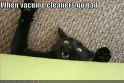 funny-pictures-your-vacuum-cleaner-has-gone-bad.jpg