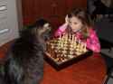 cat-saturday-27-photos- 9.jpg