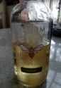 Charm City Meadworks.jpg