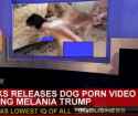 Melania's Affair.jpg