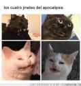 best meme.jpg