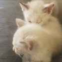 20180519_141950.jpg