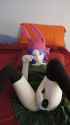 DSC00914.jpg