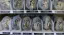 CRAB VENDING MACHINE.jpg