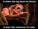 it slides the log.jpg