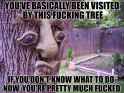treelrkWaSss0RVcbf1lrbuJUZhMaSDIomNy2pJmjibh8ng.jpg