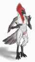skogi-birb-lewd.png
