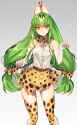 Code_Geass_CC_Leopard_Or_Guepard_Idk.png