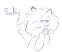 saljdt.png