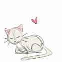 sleeping kitty.png