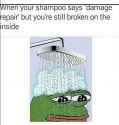 1526835205758.jpg