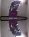 1507122556167.gif
