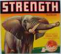 Strength Valencias.jpg