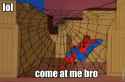spideyR_C_2.jpg