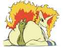 Rapidash14.png