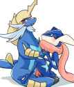 Greninja9c.png