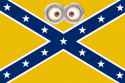 minionconfederate.jpg