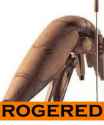 rogger.jpg